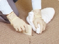 carpet_o01.jpeg